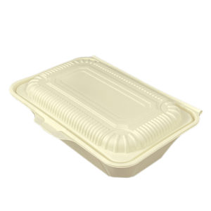Medium Size takeout food container