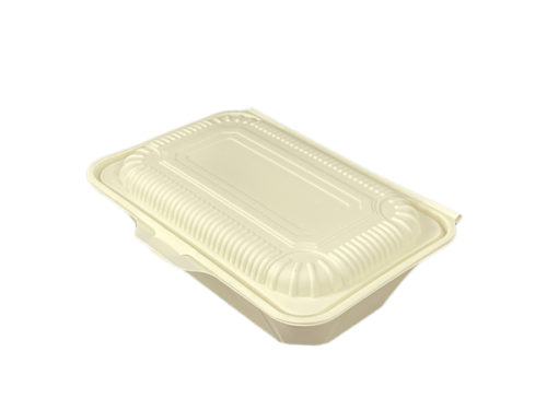 Medium Size takeout food container