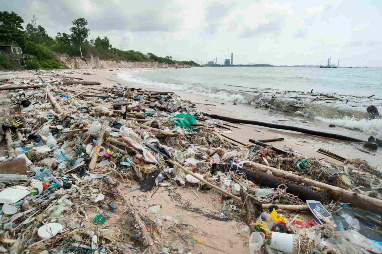Our Environment with Single Use Plastics