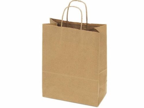 Greendish Take out Paper Bag